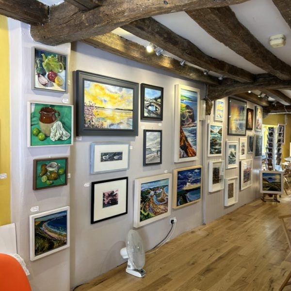 art Gallery North WAles (12)